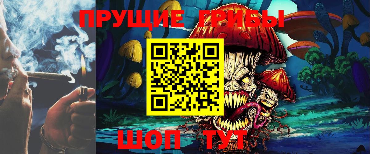 Галлюциногенные грибы Psilocybine cubensis Каменск-Шахтинский